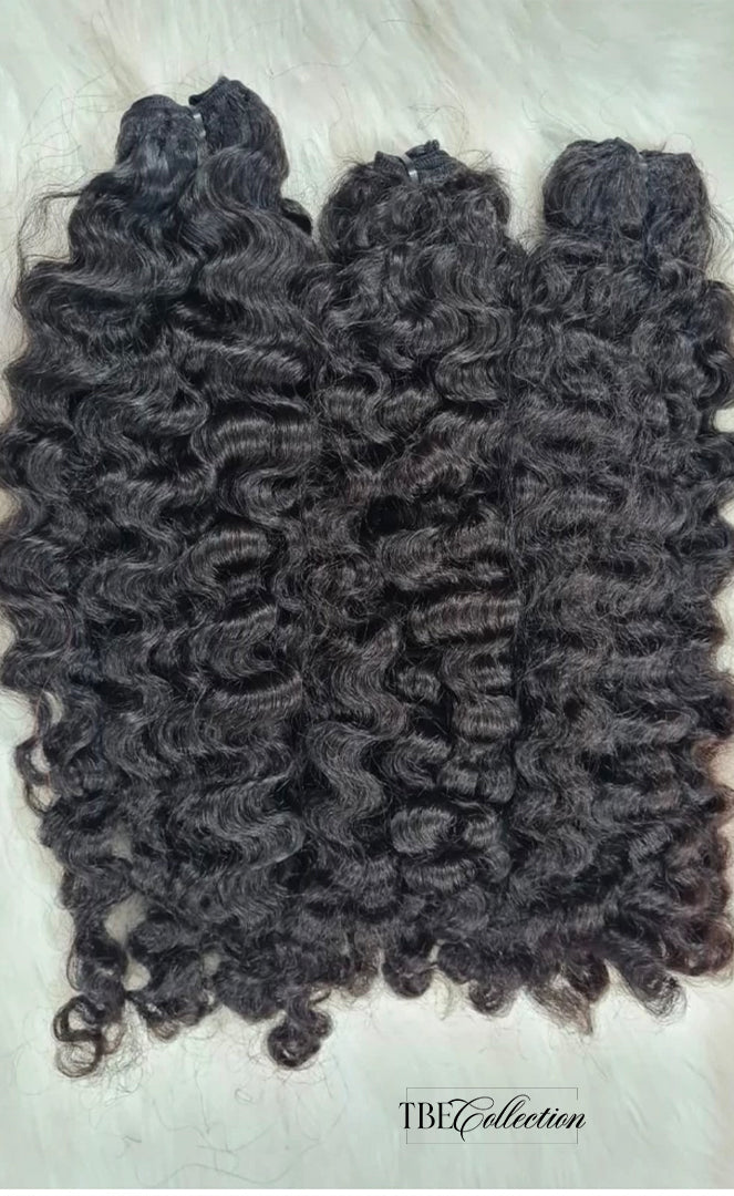 Burmese curly