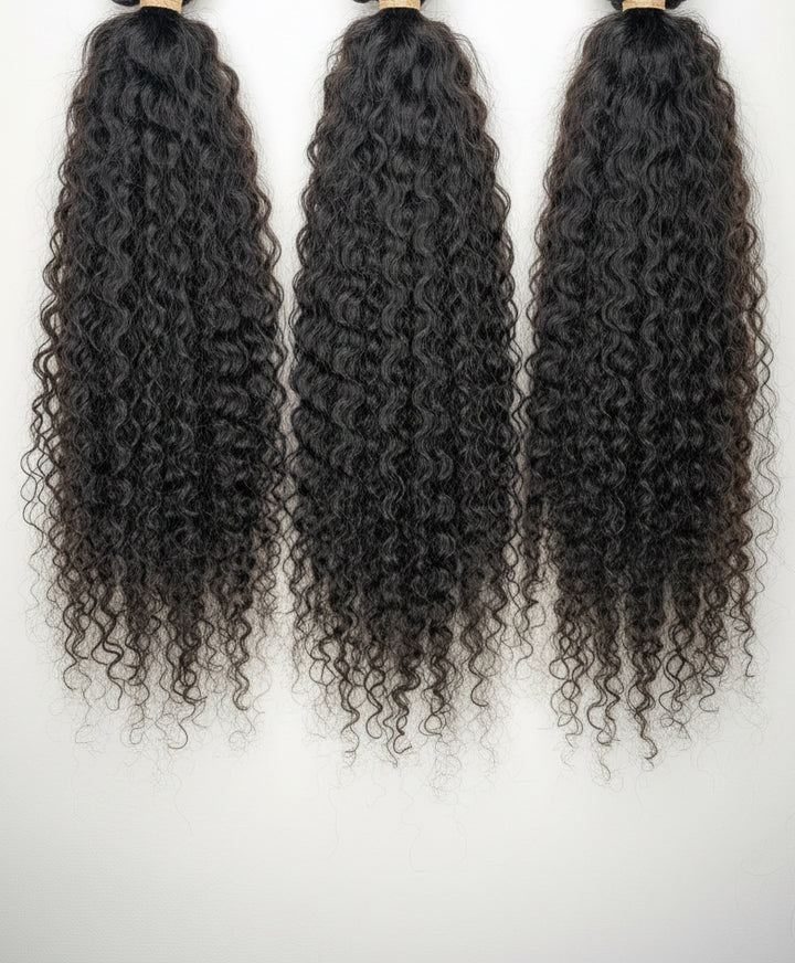 Burmese Curly